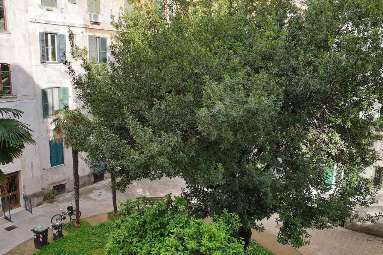 Casa Ferrari Testaccio E Trastevere Wi-Fi Free Rom Exteriör bild